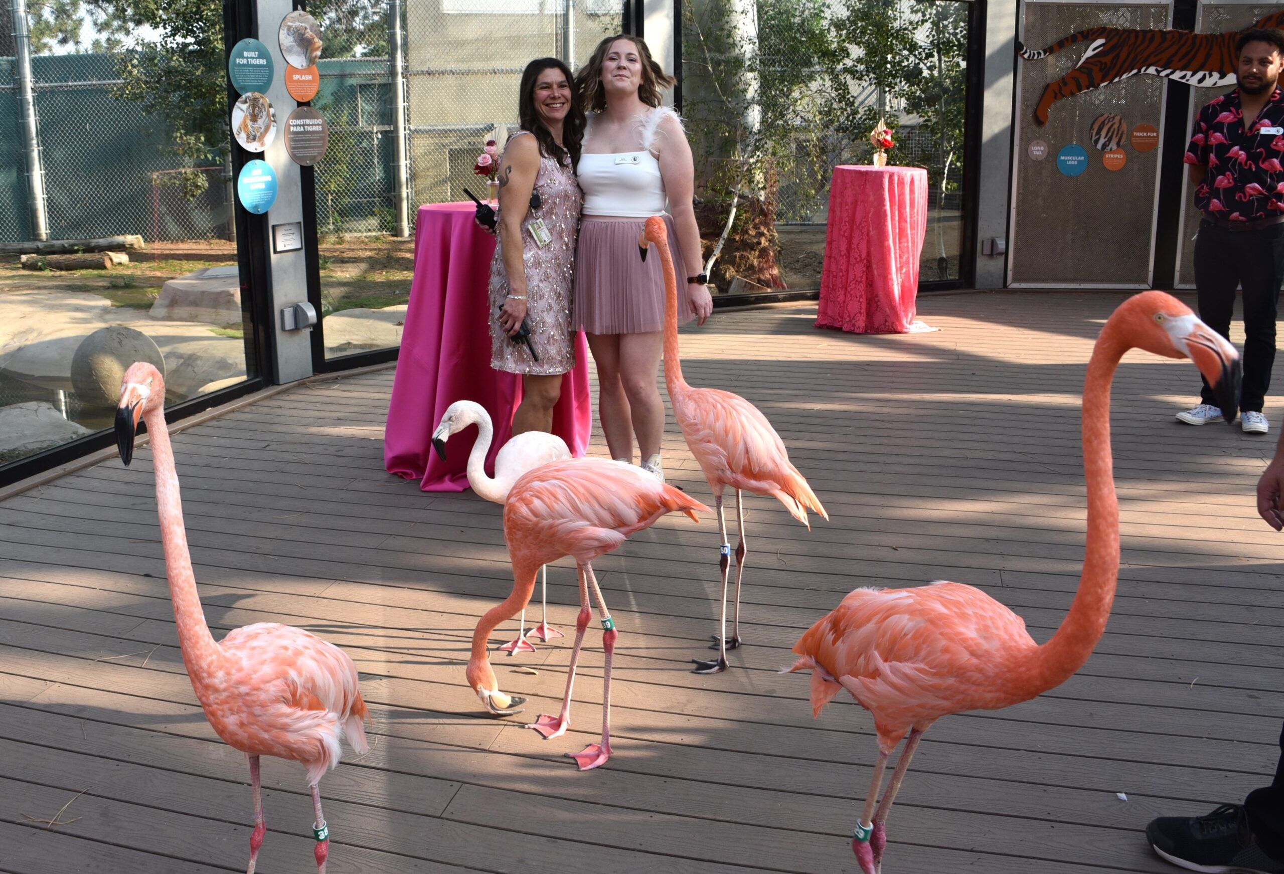 ‘Flockstars,’ and some fine feathered friends, gave this party wings | NONPROFIT REGISTER