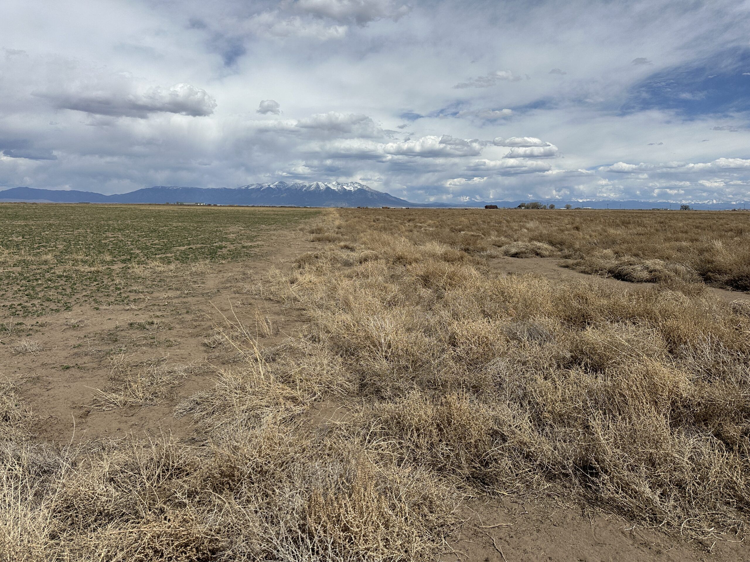 Colorado State Land Board approves carbon lease to restore San Luis Valley rangeland