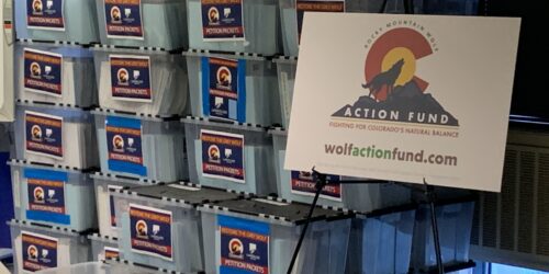 Colorado's income tax overhaul clears first hurdle for 2026 ballot