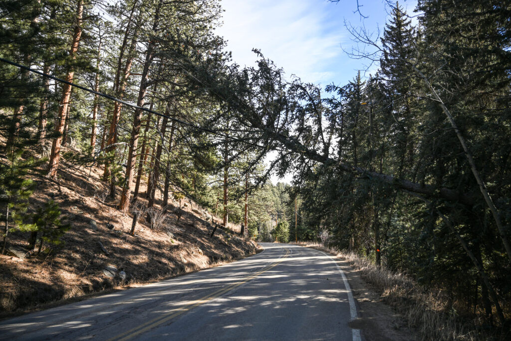 A tree rests on a power line above a road