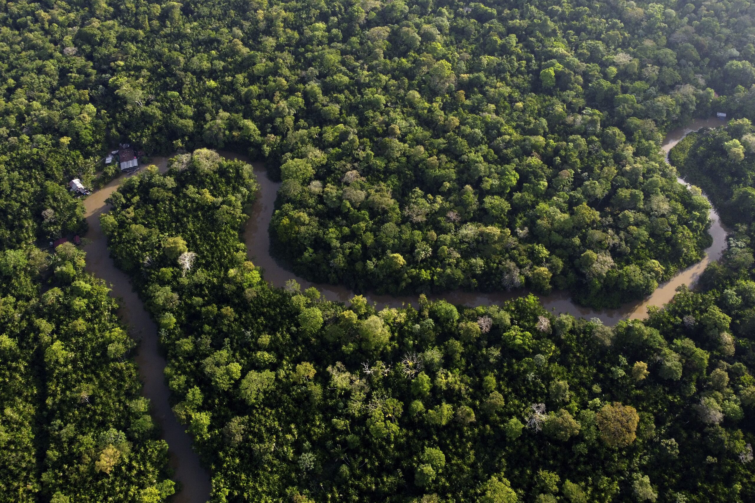 Forest lines the Combu creek, on Combu Island on the banks of the Guama River, near the city of Belem, Para state, Brazil, on Sunday. The two-day Amazon Summit opens Tuesday in Belem, where Brazil hosts policymakers and others to discuss how to tackle the immense challenges of protecting the Amazon and stemming the worst of climate change.