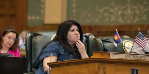 Former Rep. Rose Pugliese vies for Mesa County Treasurer