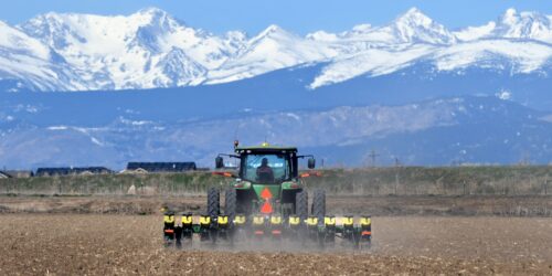 A fight over seeds and bees: Colorado Democrats target neonicotinoid pesticides