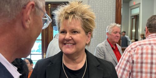 Colorado GOP Chair Brita Horn rebuffs critics as fellow party officer