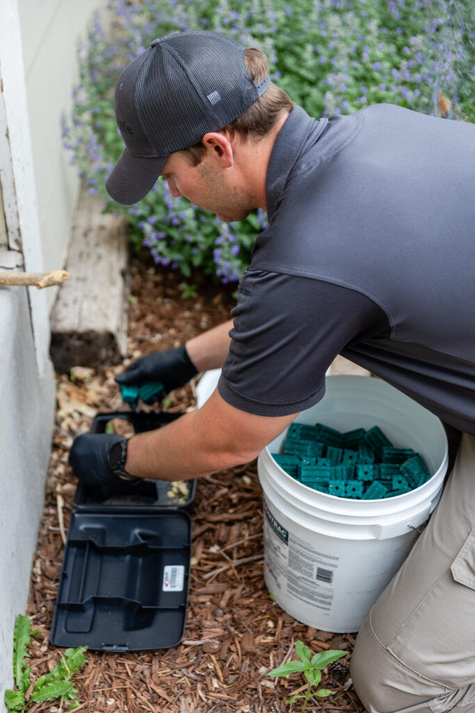 Professional grade baits with short half lives are lethal to rodents but not scavengers or predators. Courtesy of Peak Wildlife Services