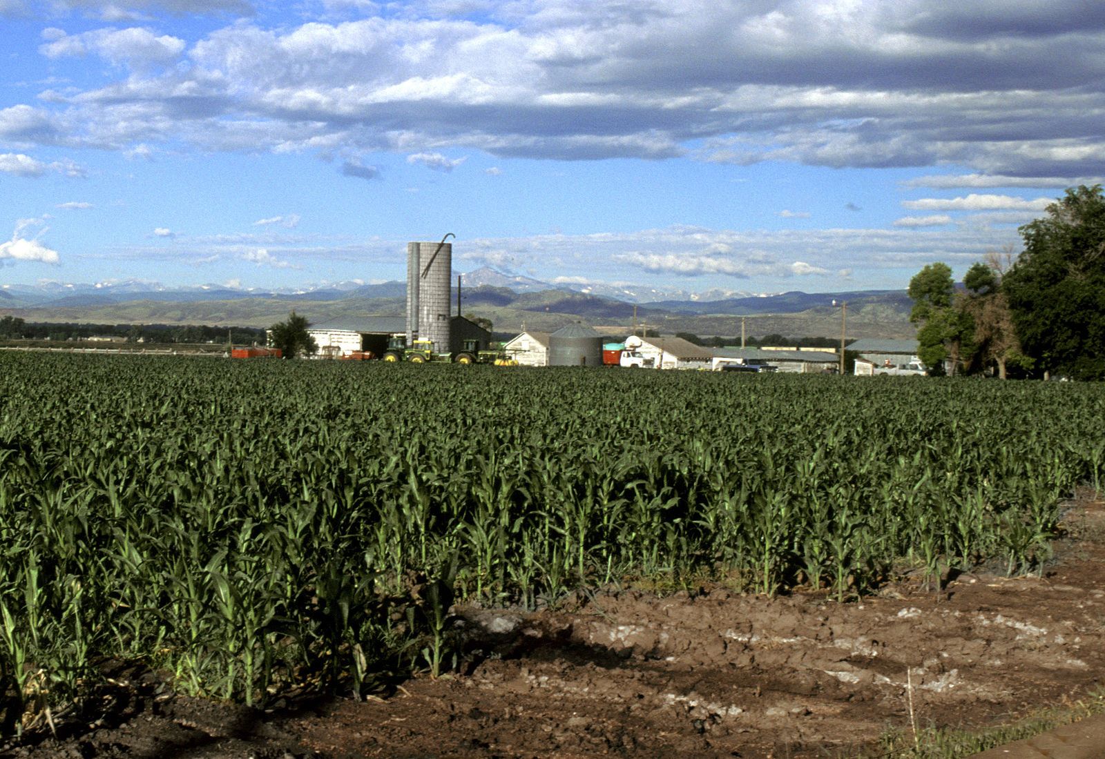 Agriculture remains king of the economy in Eastern Colorado.