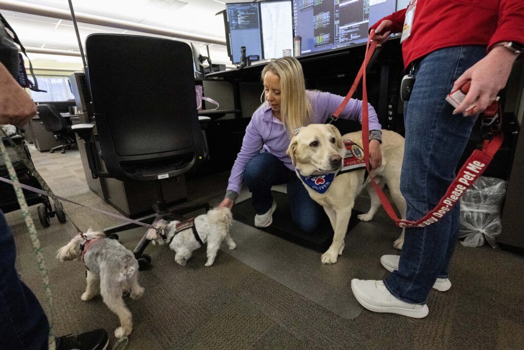 Go Team Therapy Dogs Oliver, right, Maya and Pepper visit police dispatcher Jenette K'Miller at the Colorado Springs Police Operation Center on Friday, Jan. 29, 2026. (The Gazette, Christian Murdock)