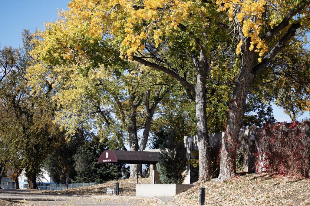 a park scene