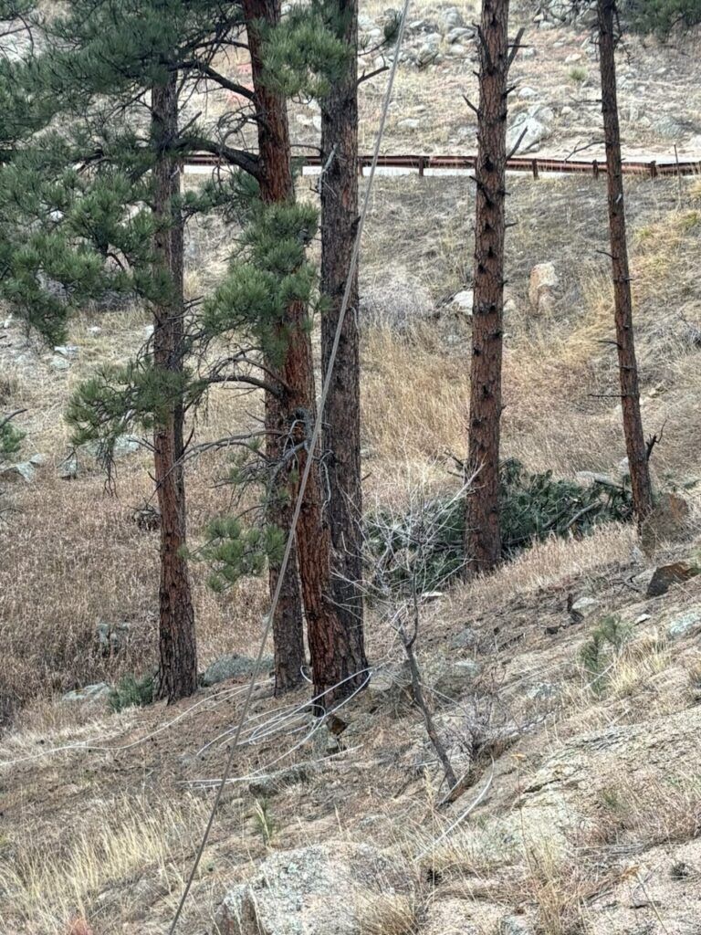 Tangled downed electrical wire that started a fire in Sunshine Canyon on December 18, 2025 
