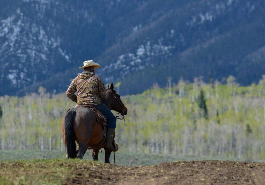 Conway Farrell contemplates the Williams Fork Range where wolves are denning.jpg