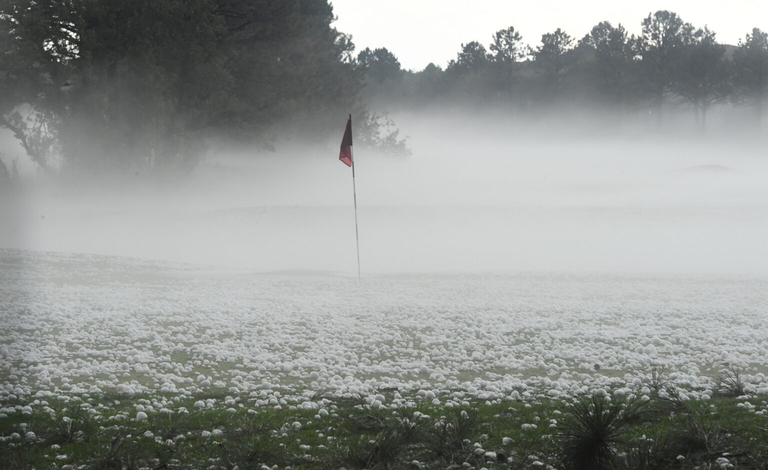 Tennessee revenues rebound - Colorado Politics