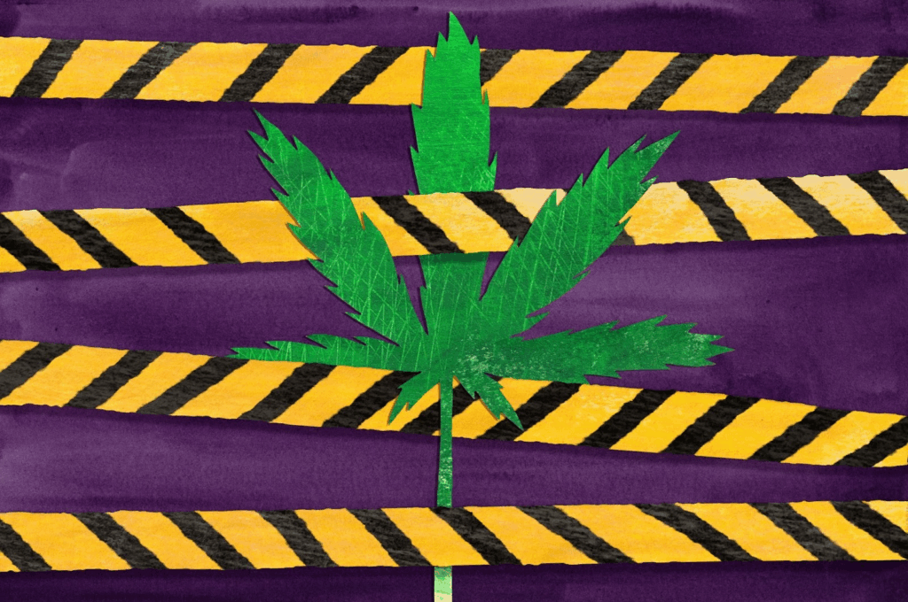 Caution tape wraps around a hemp leaf.