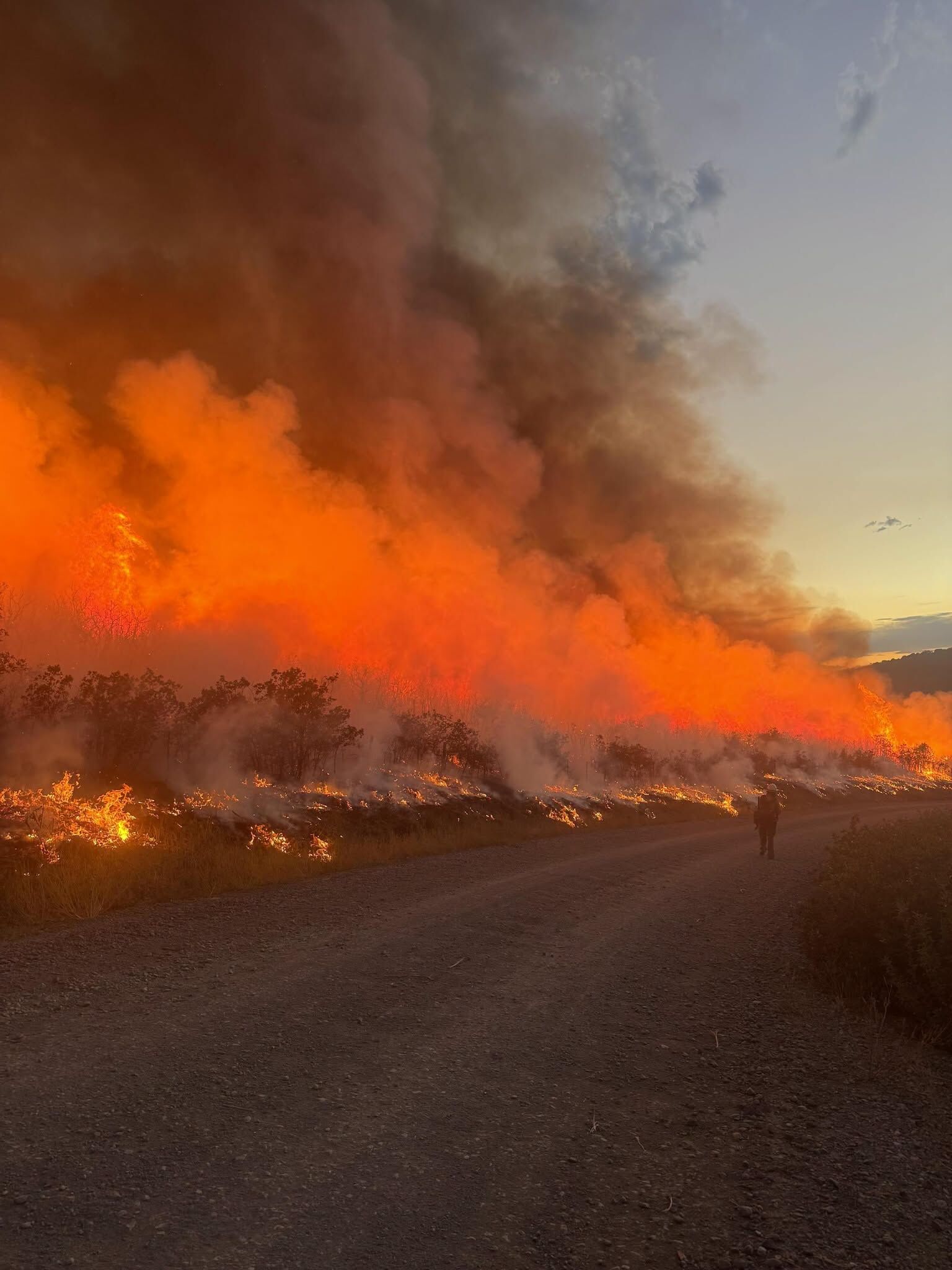 Pilot killed in plane crash while supporting Gold Mountain firefighting: Gunnison County Sheriff’s Office