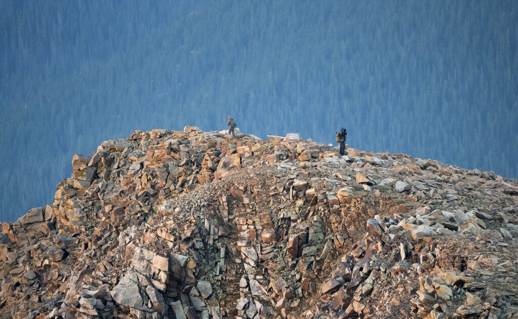 Team members search for bighorn sheep near the summit of 14,115-foot Pikes Peak on Wednesday, Aug. 5, 2026, as Colorado Parks and Wildlife conduct the second day of surveying the sheep population on the mountain. (Christian Murdock, The Gazette)