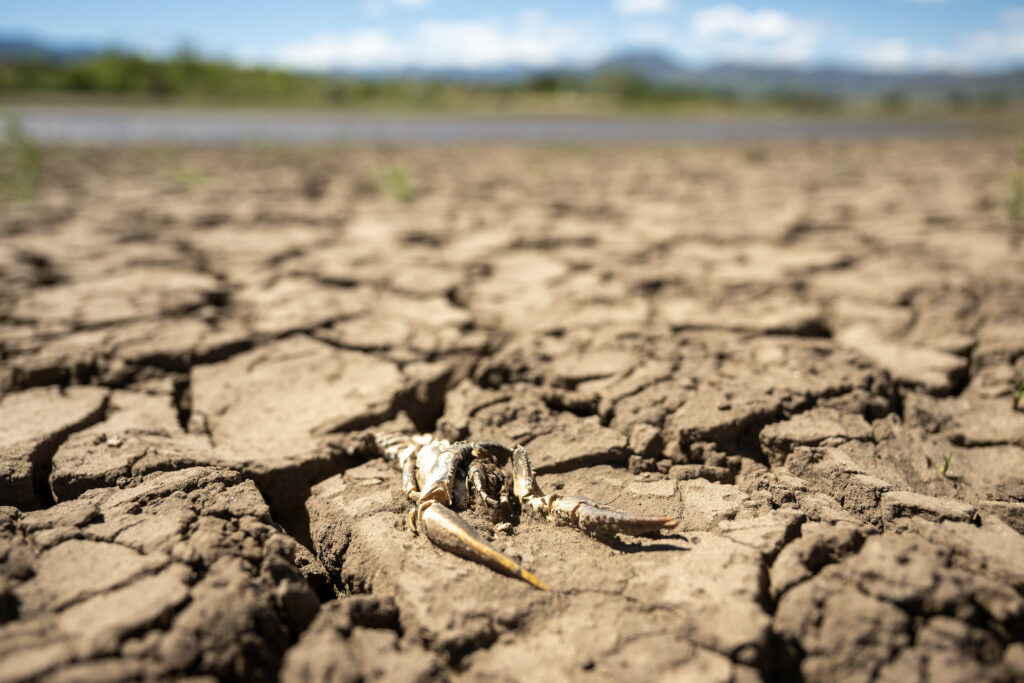 The lake bed at Wahatoya Reservoir is dried and cracked.